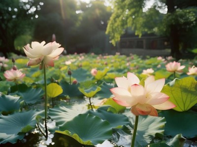 推荐方便的沙面酒店
