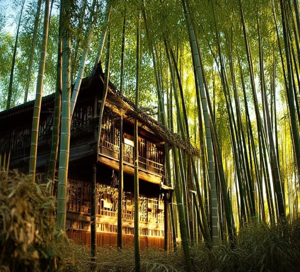 寻找竹海天元酒店,开启你的美好回忆 寻找竹海天元酒店,开启你的美好回忆